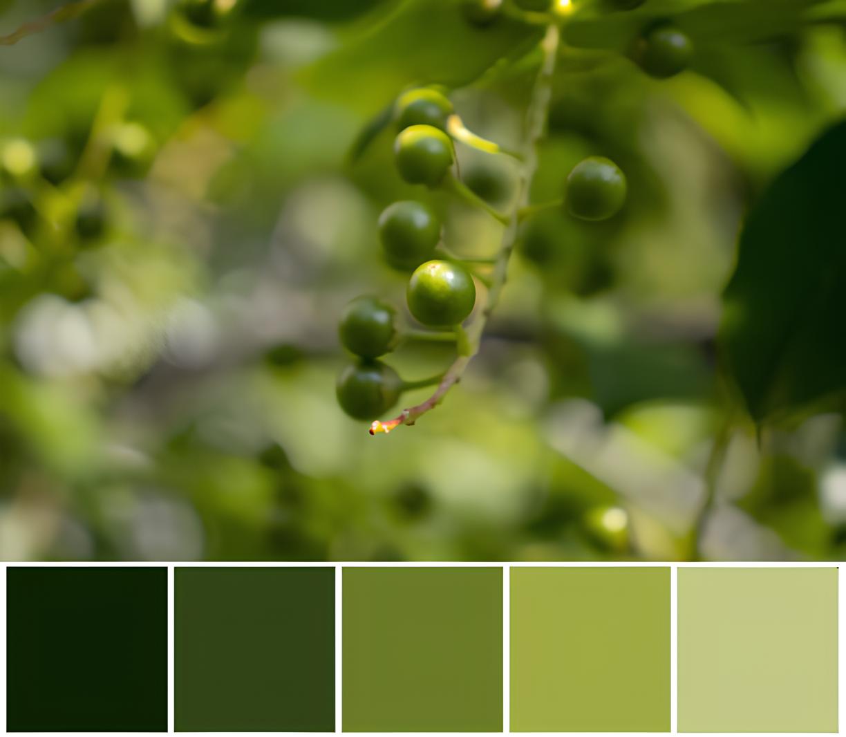 top-5-koloriv-dlya-spalni-2026-prirodna-garmoniya-ta-spokii-olivkovo-zelenih-5.jpg (67 KB)